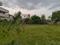 Mylavaram Plot View 2