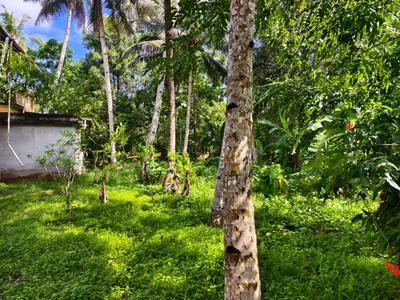 Image of 800 Sq.ft 3 BHK Independent House for sale in Kayamkulam, Alappuzha for Rs. 475000