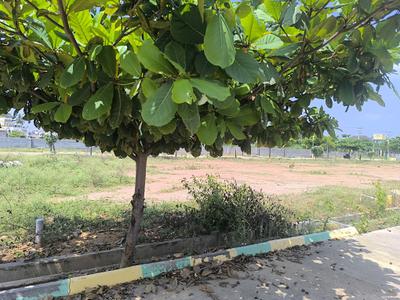 Image of 1100 Sq.ft Residential Plot / Land for sale in Mylapura, Bengaluru for Rs. 3300000