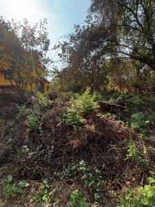 Image of 415 Sq.ft Residential Plot / Land for sale in Colvale, Goa for Rs. 18675000
