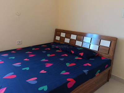 Bedroom Image of 1400 Sq.ft 3 BHK Apartment / Flat for rent in Ayodhya Bypass Bhopal for Rs. 28000