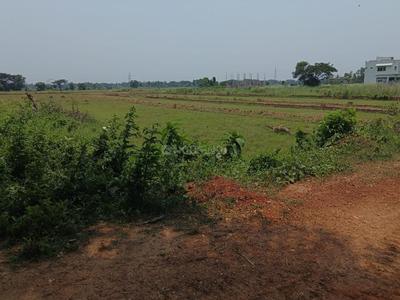 Image of 1728 Sq.ft Residential Plot / Land for sale in Pipili, Puri for Rs. 1382400
