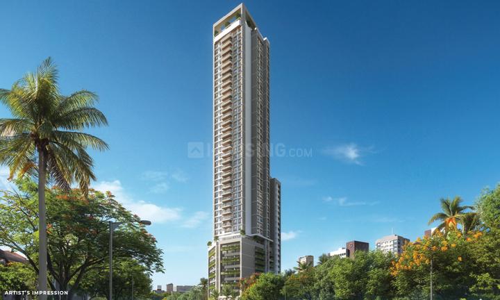 Spenta Stardeous Main Image 1