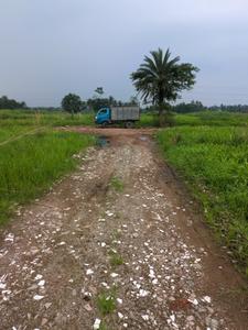Wander Valley Internal Roads 2