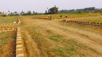 Image of 1200 Sq.ft Residential Plot / Land for sale in Olatpur, Cuttack for Rs. 1020000