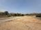 Thano Plot View 2