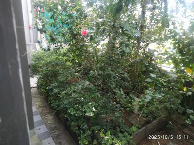 Balcony Image of 2700 Sq.ft 3 BHK Independent House for sale in Mograwadi Valsad for Rs. 7200000