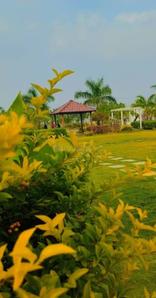 Image of 167 Sq.ft Residential Plot / Land for sale in Choutuppal, Yadadri Bhuvanagiri for Rs. 2338000