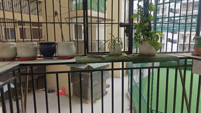 Image of 800 Sq.ft 2.5 BHK Apartment / Flat for sale in Pigeon Spring Meadows, Noida Extension, Greater Noida for Rs. 9000000