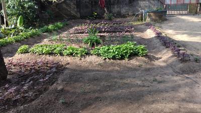 Image of 5220 Sq.ft Residential Plot / Land for sale in Thrippunithura, Kochi for Rs. 14400000