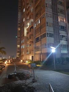 Image of 1545 Sq.ft 2.5 BHK Apartment / Flat for sale in  Palm Beach Society, Nerul, Navi Mumbai for Rs. 62500000