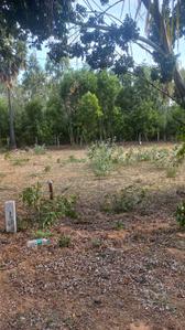 Image of 3028 Sq.ft Residential Plot / Land for sale in Kadappakkam, Chengalpattu, Chennai for Rs. 2120000