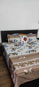 Bedroom Image of 1431 Sq.ft 2 BHK Apartment / Flat for sale in Janta Sky Gardens, JLPL Industrial Area Mohali for Rs. 12500000