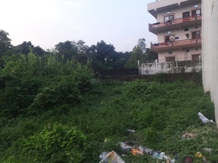 Selakui Main Image 1