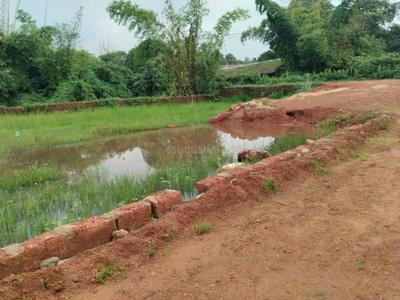 Image of 1200 Sq.ft Residential Plot / Land for sale in Phulnakhara, Cuttack for Rs. 1980000