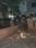 Tilak Nagar Main Image 1
