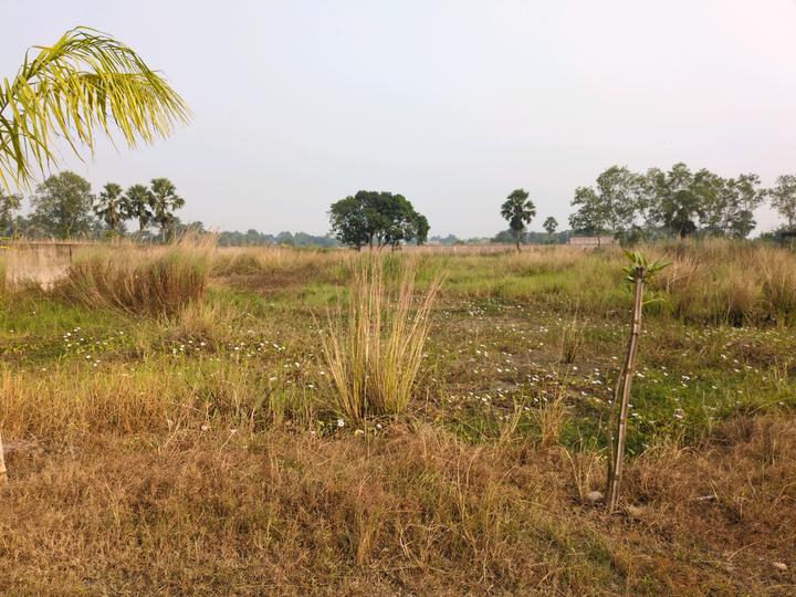 Metroplex City Main Image 1