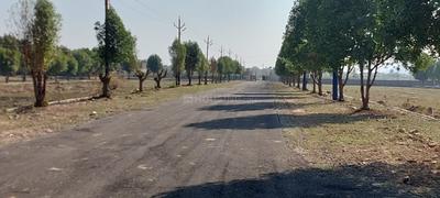 Debari Plot View 2
