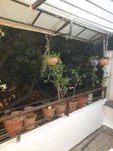 Balcony Image of 615 Sq.ft 1 BHK Apartment / Flat for sale in Manjari Budruk Pune for Rs. 2499999