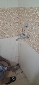 Bathroom Image of 556 Sq.ft 2 BHK Apartment / Flat for rent in Amrapali Riverview, Noida Extension Greater Noida for Rs. 18000