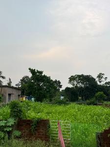 Image of 3600 Sq.ft Residential Plot / Land for sale in Kalyani, Nadia for Rs. 6500000