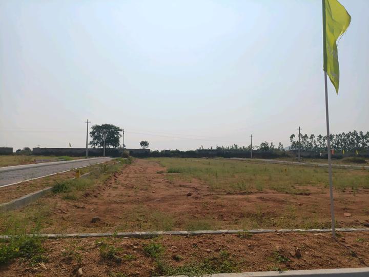 Temple city Main Image 1