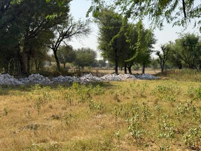 Image of 900 Sq.ft Residential Plot / Land for sale in Khatu, Sikar for Rs. 1000000