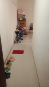 Hall Image of 546 Sq.ft 2 BHK Apartment / Flat for rent in Maxheights Dream Homes, Sector 61 Sonipat for Rs. 17000