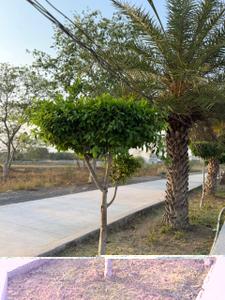 Image of 1152 Sq.ft Residential Plot / Land for sale in Torwa, Bilaspur for Rs. 1584000