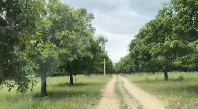 Image of 140000 Sq.ft Residential Plot / Land for sale in Santhapet, Chittoor for Rs. 87500000