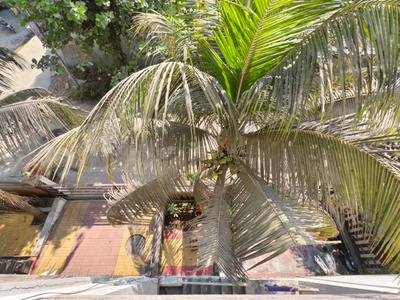 Balcony Image of 2200 Sq.ft 3 BHK Independent House for sale in Dhayari Pune for Rs. 17500000