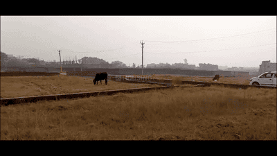 Image of 1306 Sq.ft Residential Plot / Land for sale in Bukru, Ranchi for Rs. 2100000