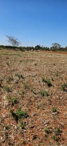 Devanahalli Plot View 3