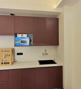 Kitchen Image of 550 Sq.ft 1 BHK Builder Floor for rent in Sector 115 Mohali for Rs. 12000