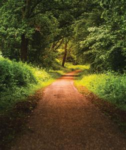 Image of 2200 Sq.ft Residential Plot / Land for sale in Synergy Satvam Hills, Mulshi, Pune for Rs. 6200000