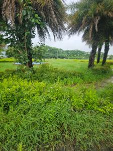 Image of 1264 Sq.ft Residential Plot / Land for sale in DLF Gardencity, Manglia, Indore for Rs. 5680000