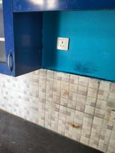 Kitchen Image of 750 Sq.ft 2 BHK Apartment / Flat for sale in Tapukara Bhiwadi for Rs. 1200000