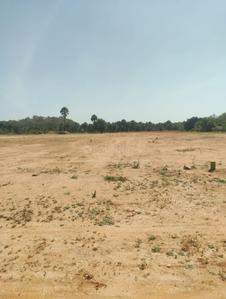 Image of 10320 Sq.ft Residential Plot / Land for sale in Palathurai, Coimbatore for Rs. 12000000