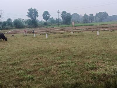 Bihta Plot View 3