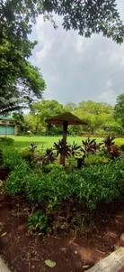 Image of 778 Sq.ft 3 BHK Apartment / Flat for sale in Natu Ozone Valley, Kalwa, Thane for Rs. 14000000