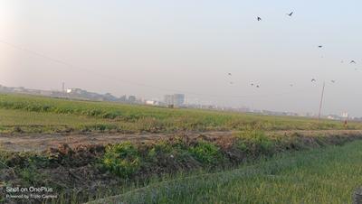Image of 1200 Sq.ft Residential Plot / Land for sale in Sampatchak Green City, Sampatchak, Patna for Rs. 2100000