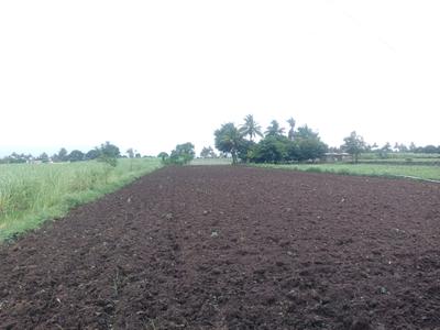 Image of 1089 Sq.ft Residential Plot / Land for sale in Invest Mahamumbai Plots In Khopate, Khopate, Raigad for Rs. 536000
