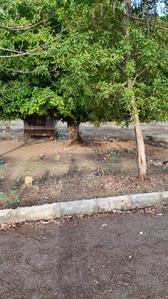 Annojiguda Plot View 2