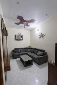 Hall Image of 630 Sq.ft 3 BHK Independent House for rent in Sector 7 Gurgaon for Rs. 42000
