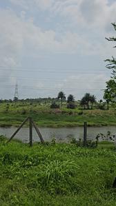 Image of 5445 Sq.ft Residential Plot / Land for sale in Manor, Mumbai for Rs. 4250000