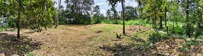 Image of 13050 Sq.ft Residential Plot / Land for sale in Irinjalakuda, Thrissur for Rs. 3000000