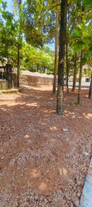 Image of 1742 Sq.ft Residential Plot / Land for sale in Kakkanad, Kochi for Rs. 1650000