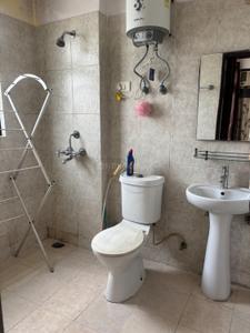 Image of 1165 Sq.ft 2 BHK Apartment / Flat for rent in Omaxe North Avenue II, Sector 15, Bahadurgarh for Rs. 20000