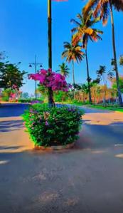 Image of 2400 Sq.ft Residential Plot / Land for sale in Hiranandani Villas, Devanahalli, Bengaluru for Rs. 26880000