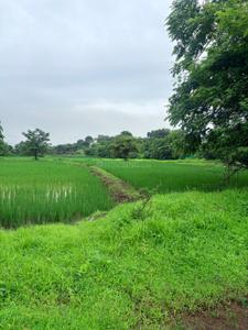 Image of 1089 Sq.ft Residential Plot / Land for sale in Uran, Navi Mumbai for Rs. 500000